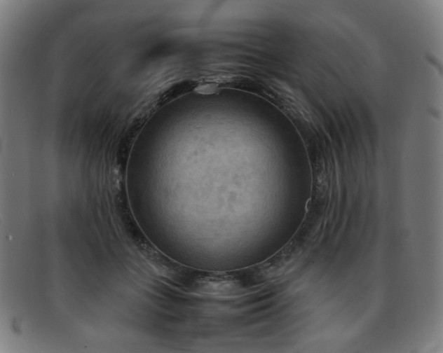 X0000092050555200709121214