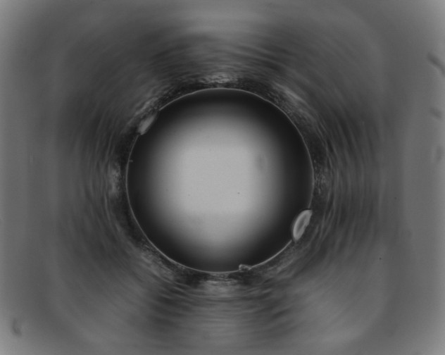 X0000092050556200709121214