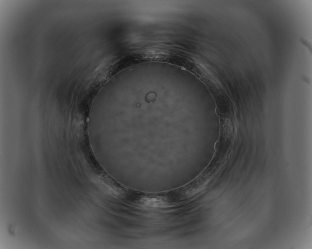 X0000092050557200709121214