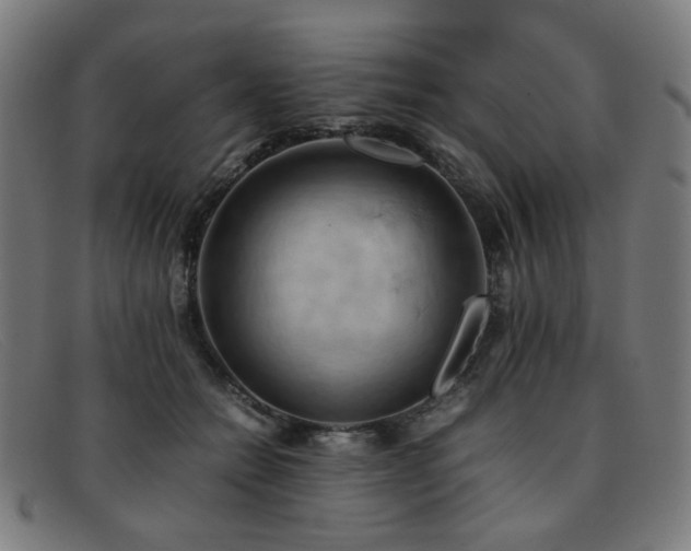 X0000092050558200709121214