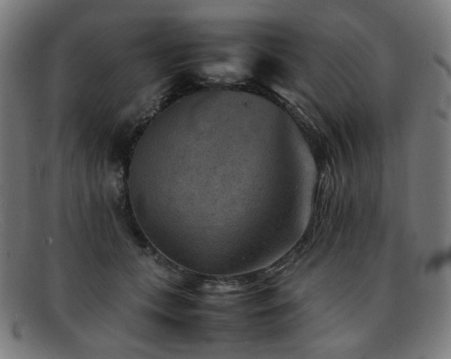 X0000092050559200709121214