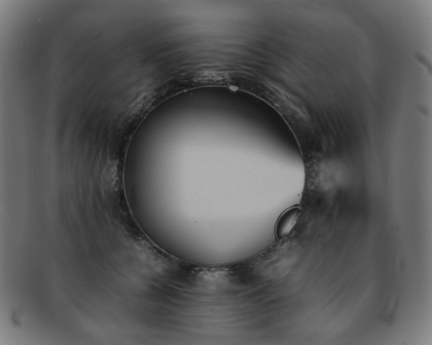 X0000092050560200709121214