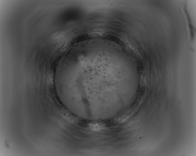 X0000092050561200709121215