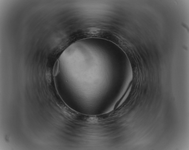 X0000092050562200709121215