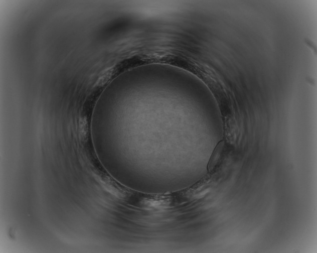 X0000092050563200709121215