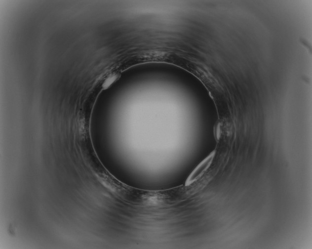 X0000092050564200709121215