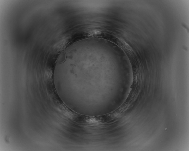 X0000092050565200709121215