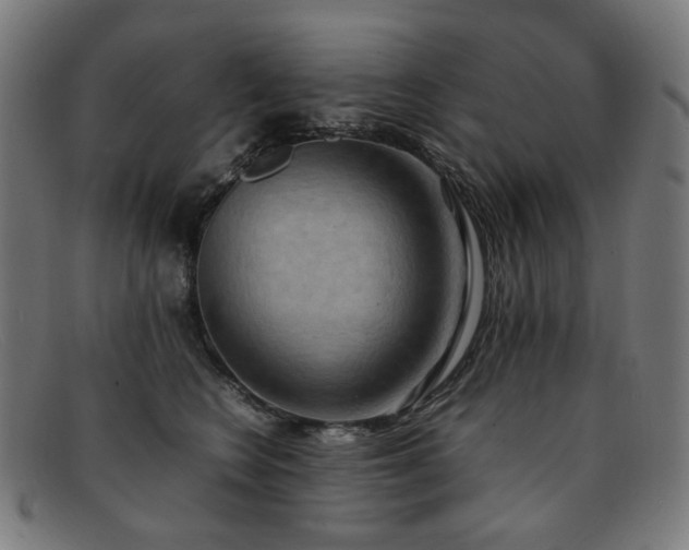 X0000092050566200709121215