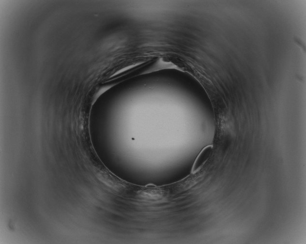 X0000092050567200709121215