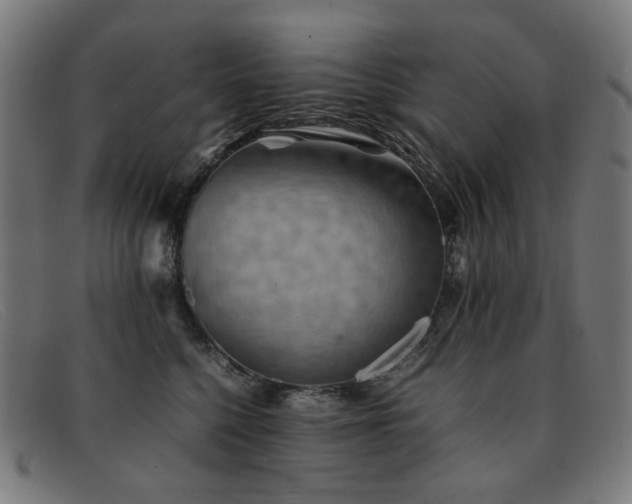 X0000092050568200709121215