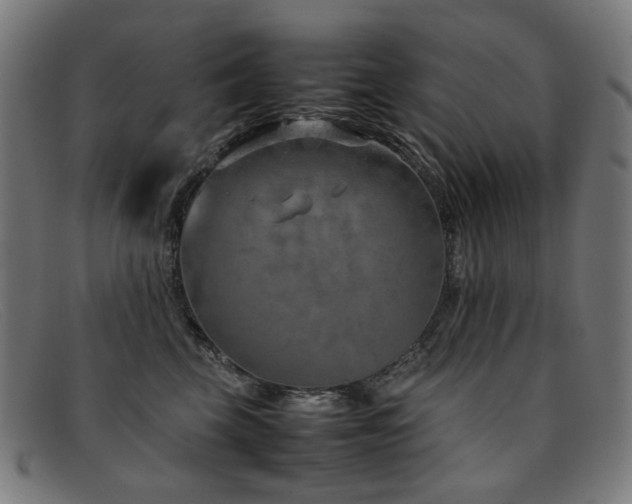 X0000092050569200709121215