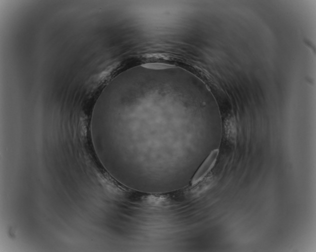 X0000092050570200709121215