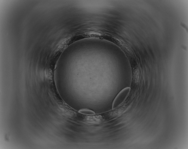 X0000092050571200709121215