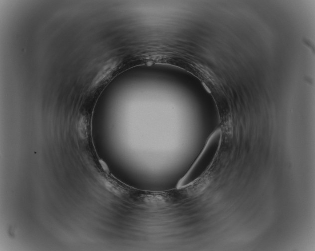 X0000092050572200709121215