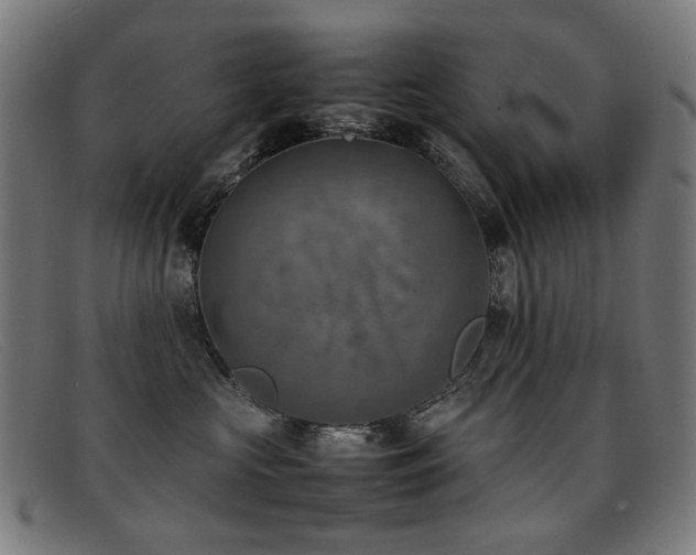 X0000092050573200709121215