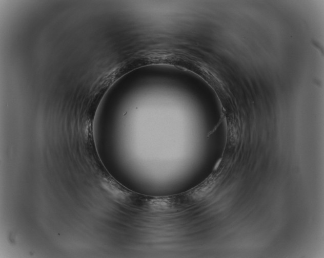 X0000092050574200709121215