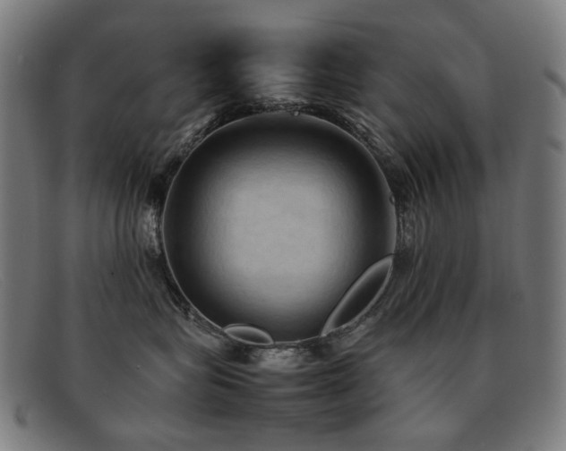 X0000092050575200709121215