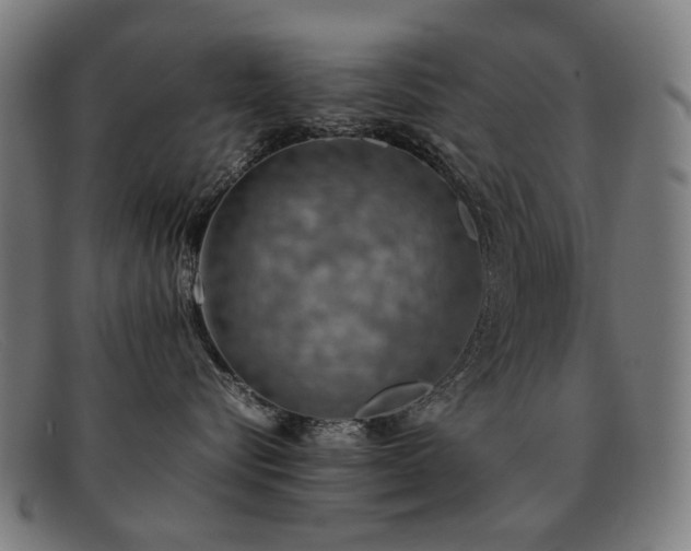 X0000092050576200709121215