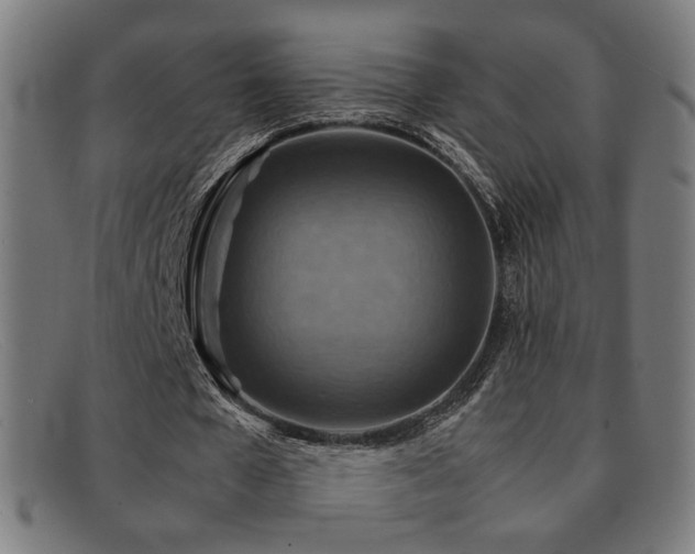 X0000092050577200709121214