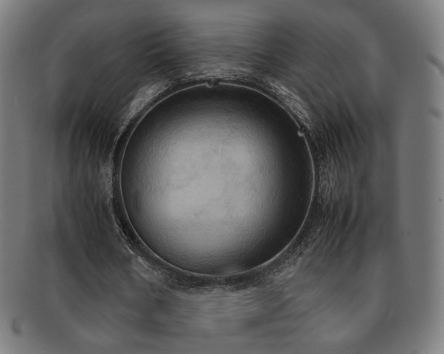 X0000092050578200709121214