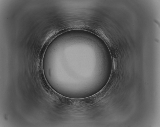 X0000092050579200709121214