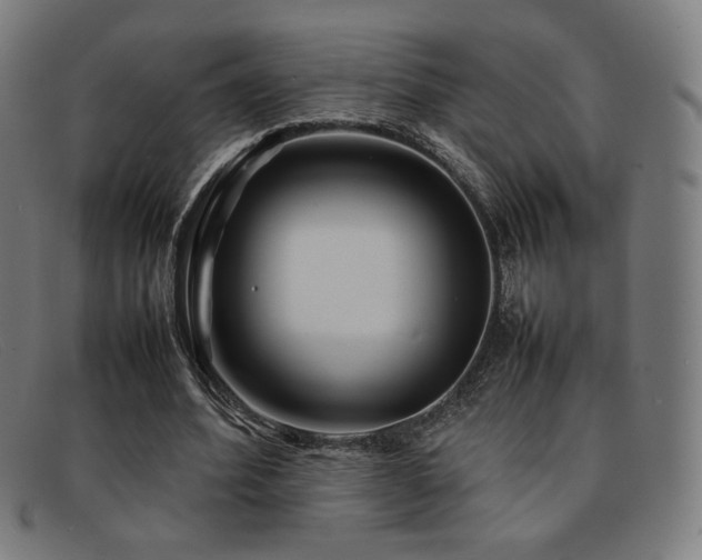 X0000092050580200709121214