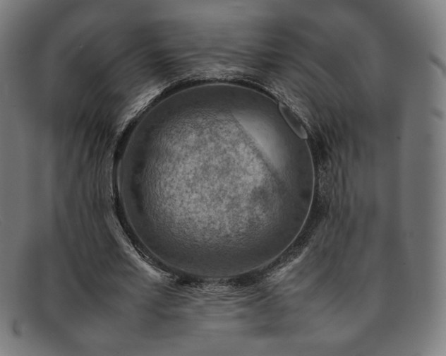 X0000092050581200709121214