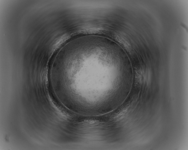 X0000092050582200709121214