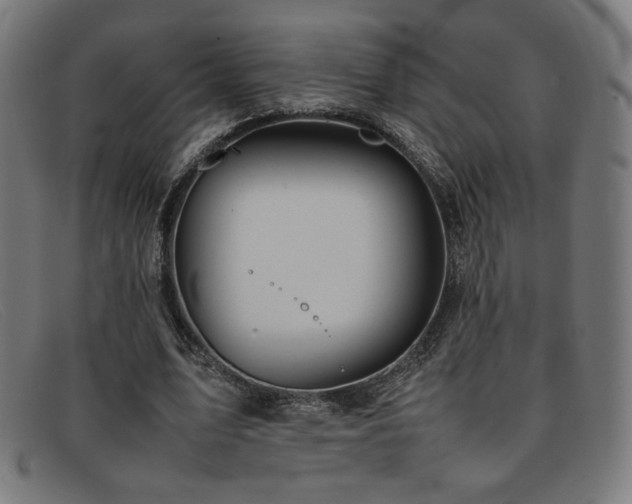 X0000092050583200709121214