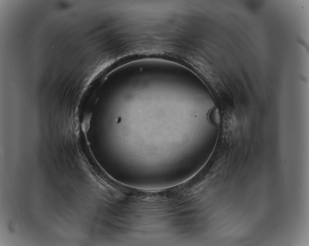 X0000092050584200709121214