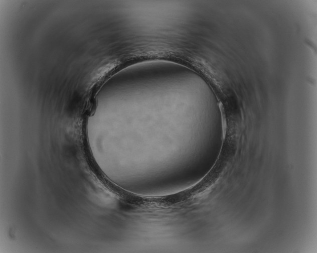 X0000092050585200709121214