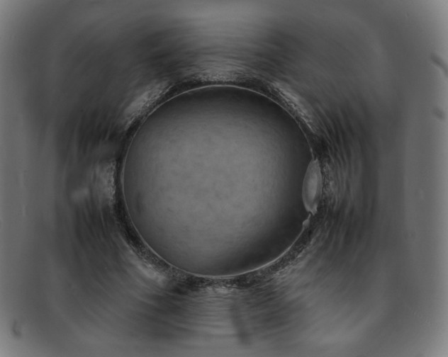 X0000092050586200709121214