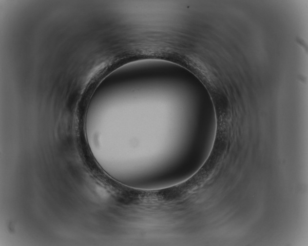 X0000092050587200709121214