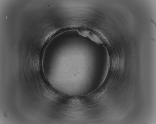 X0000092050588200709121214