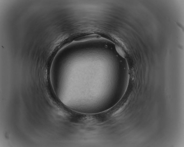 X0000092050589200709121214