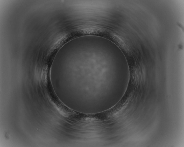 X0000092050590200709121214