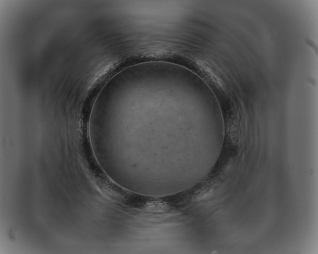 X0000092050591200709121214