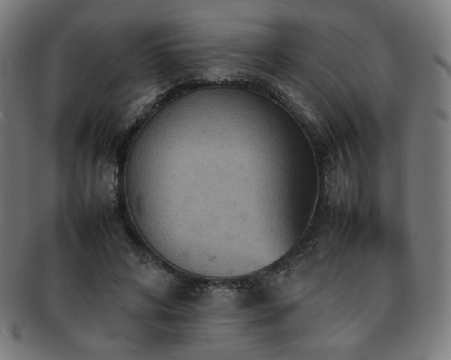 X0000092050592200709121214