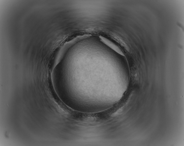 X0000092050593200709121214