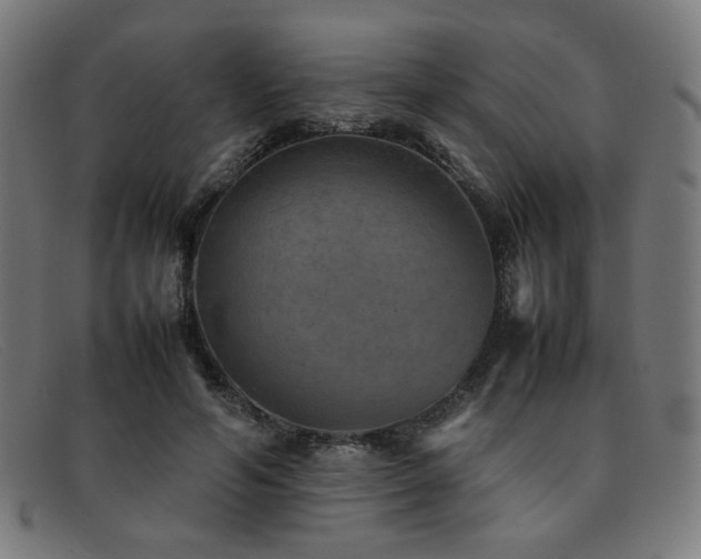 X0000092050594200709121214