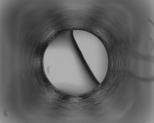 X0000092050595200709121214