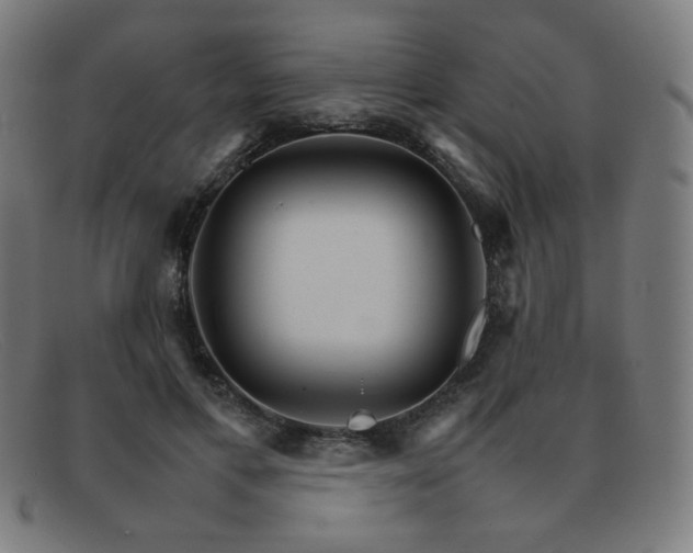 X0000092050597200709121214