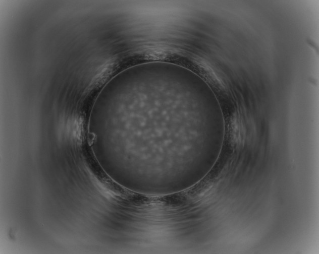 X0000092050598200709121214