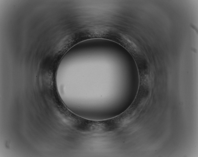 X0000092050599200709121214