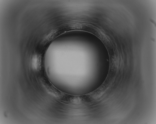 X0000092050600200709121214