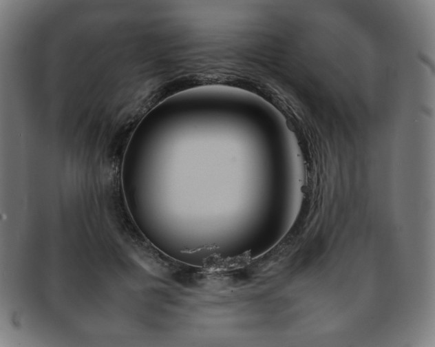 X0000092050601200709121214