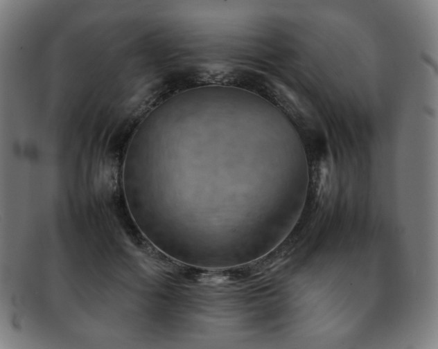 X0000092050602200709121214