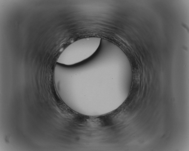 X0000092050603200709121214