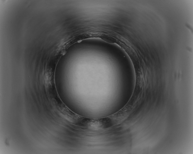 X0000092050604200709121214