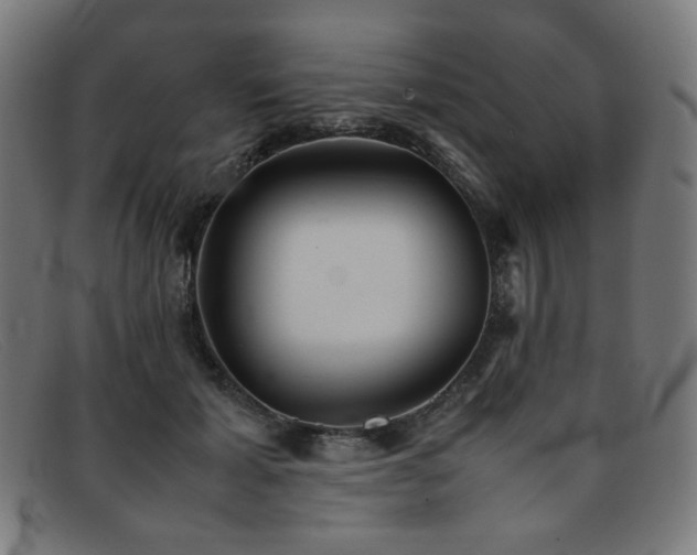 X0000092050605200709121214